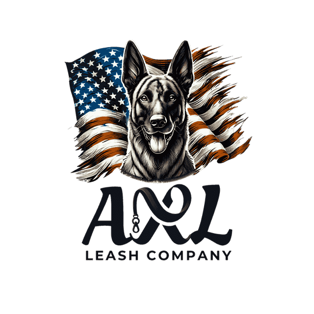 Logo Design example: imgaxle