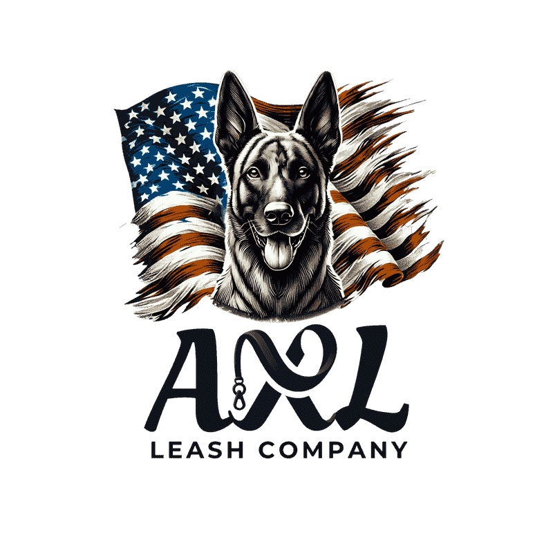 Logo Design example: imgaxle